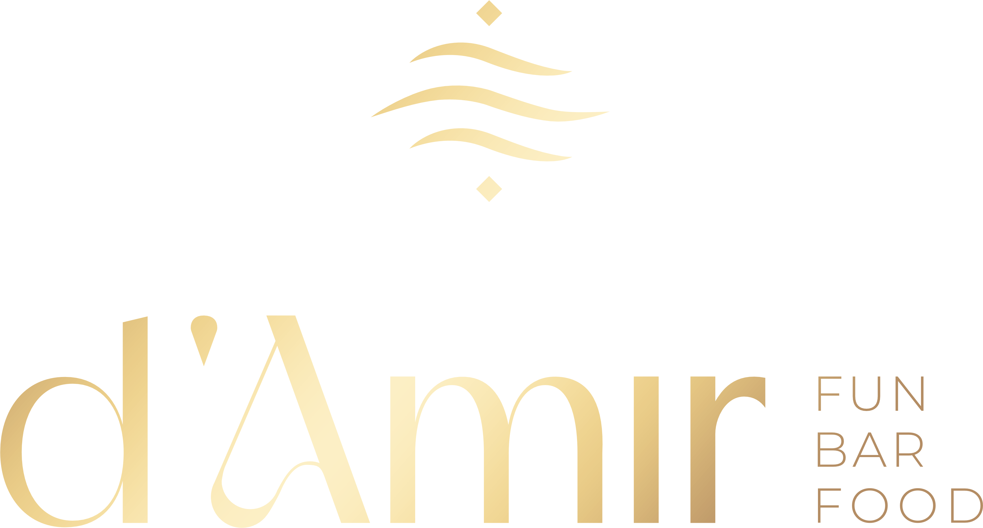 d'Amir